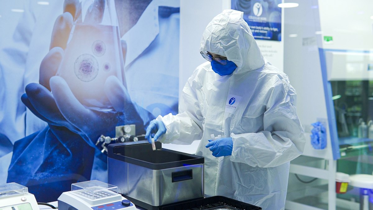 What are the key differences when it comes to muse cells vs MSCs? Discover more in this article by Cellular Hope Institute.